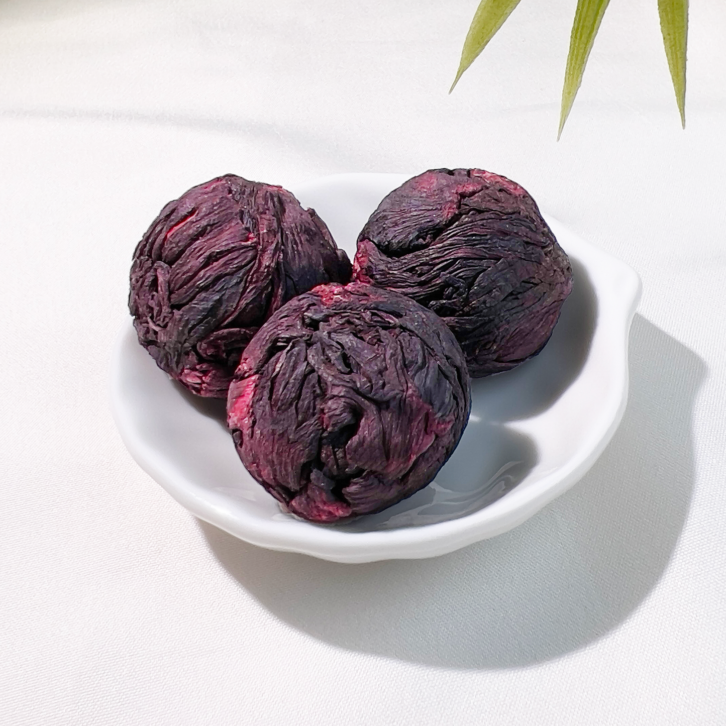 Hibiscus Blooming Tea